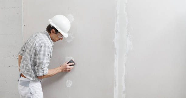 Best Commercial Mold Inspection  in Seabrook, MD