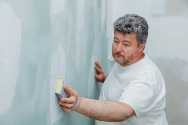 Best Mold Odor Removal Services  in Seabrook, MD
