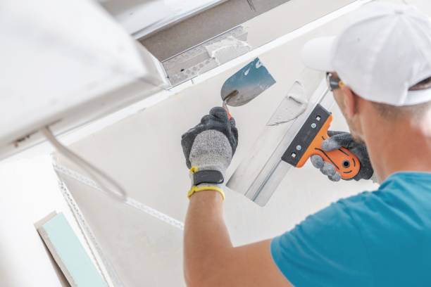 Best Comprehensive Air Testing for Mold Contaminants  in Seabrook, MD